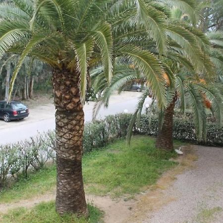 T2 Calvi Entierement Equipe A 150M De La Plage. Buitenkant foto