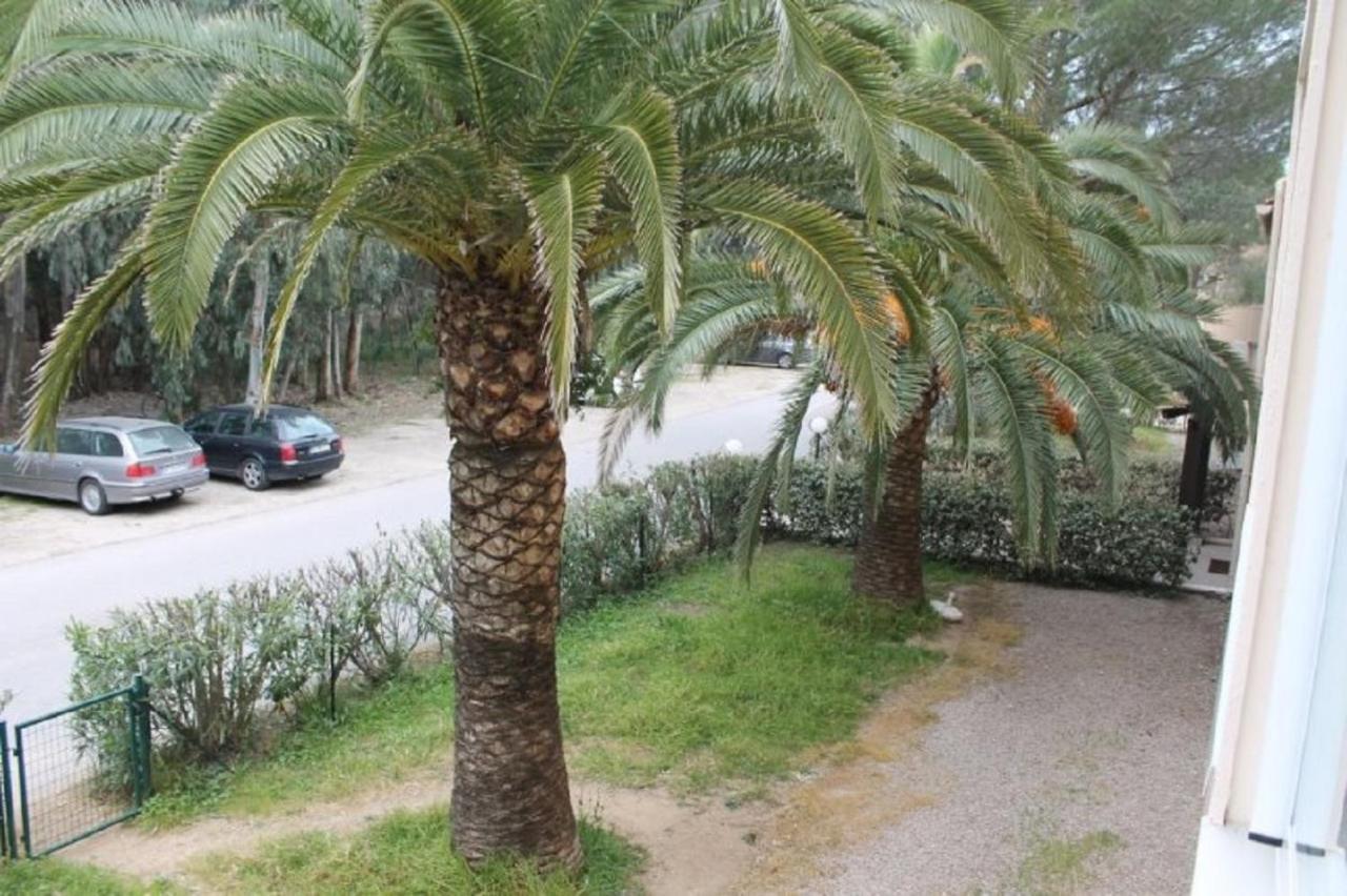T2 Calvi Entierement Equipe A 150M De La Plage. Buitenkant foto