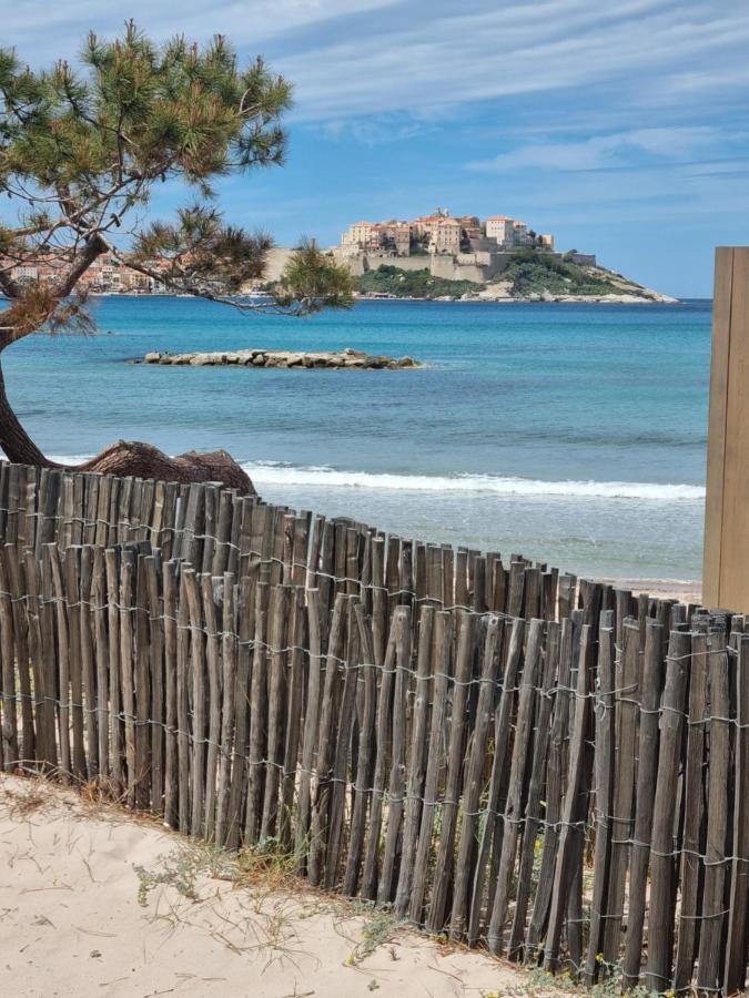 T2 Calvi Entierement Equipe A 150M De La Plage. Buitenkant foto